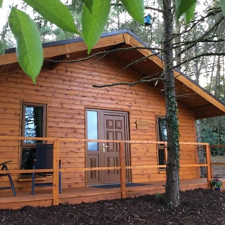 Butterfly Cabin Limerick Junction Εξωτερικό φωτογραφία