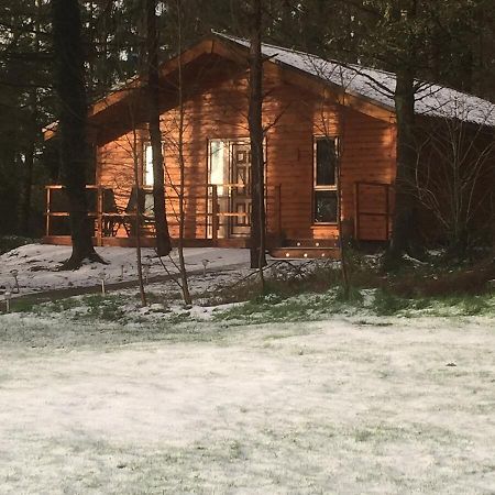 Butterfly Cabin Limerick Junction Εξωτερικό φωτογραφία