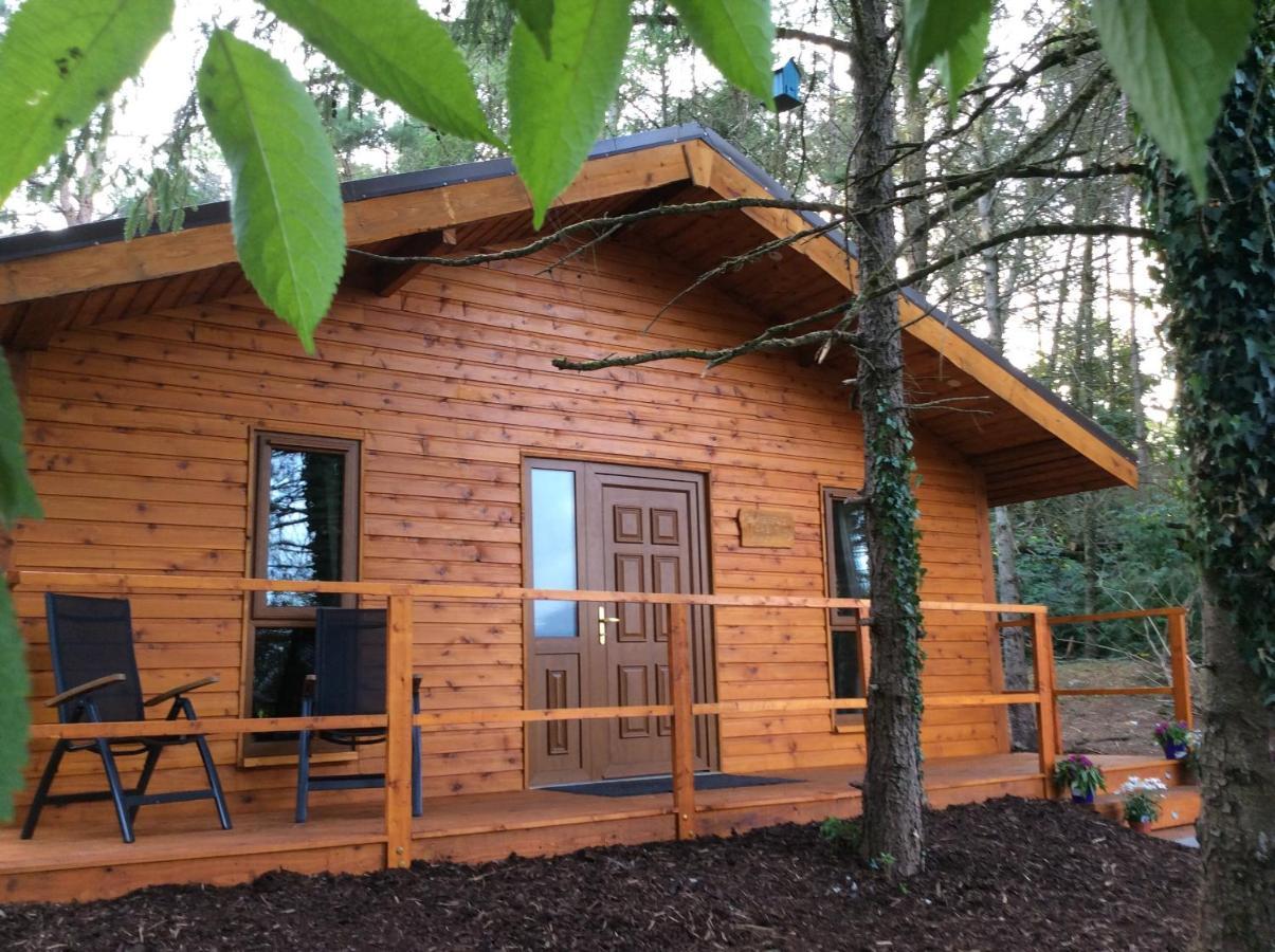 Butterfly Cabin Limerick Junction Εξωτερικό φωτογραφία