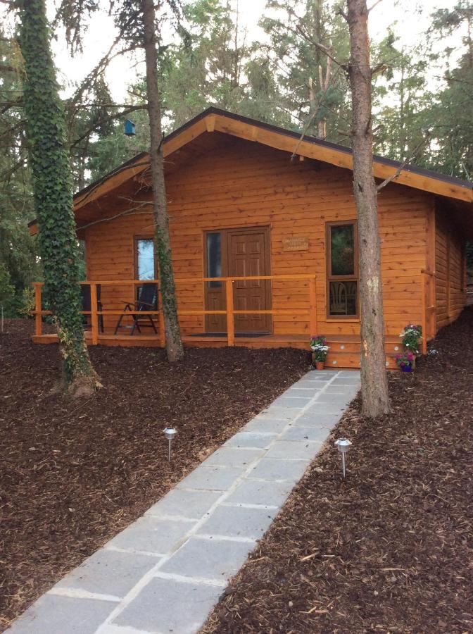 Butterfly Cabin Limerick Junction Εξωτερικό φωτογραφία
