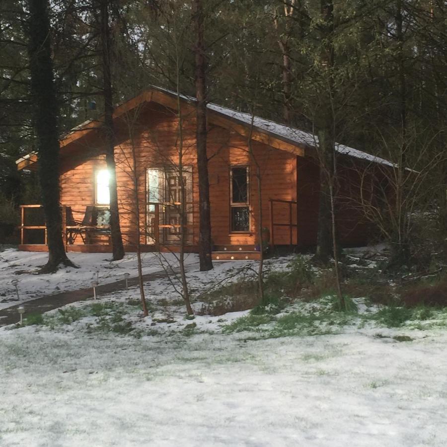 Butterfly Cabin Limerick Junction Εξωτερικό φωτογραφία